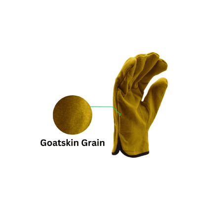goatskin grain leather gloves