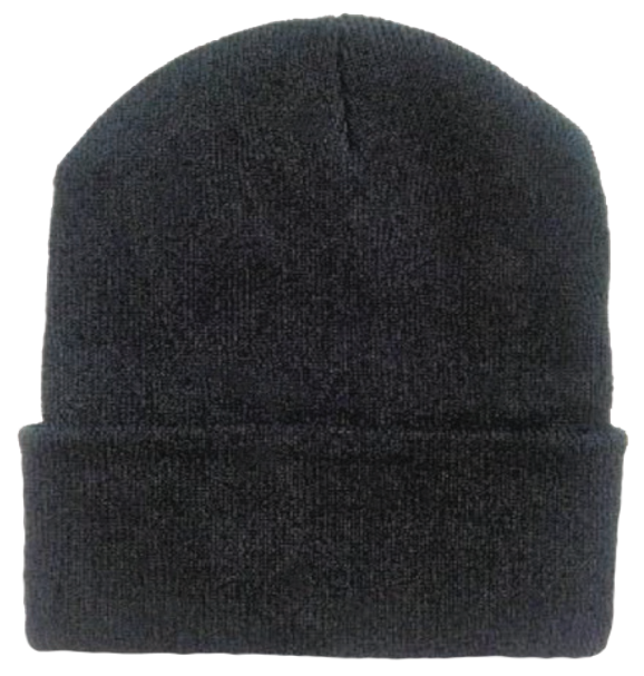 Economy Black Beanie